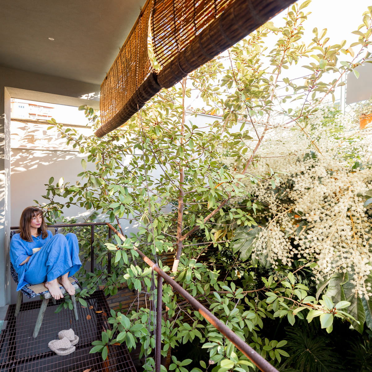 Huertos urbanos en Barcelona